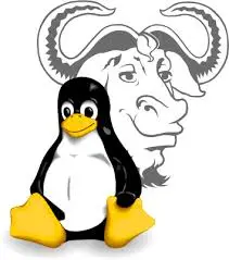 Почему правильно говорить GNU/Linux, а не просто Linux